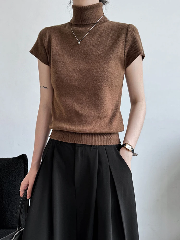 Wine Red Elegant Slim Knitting Sweater Turtleneck Short Sleeve Women Pullovers New Fashion Tide Spring Autumn