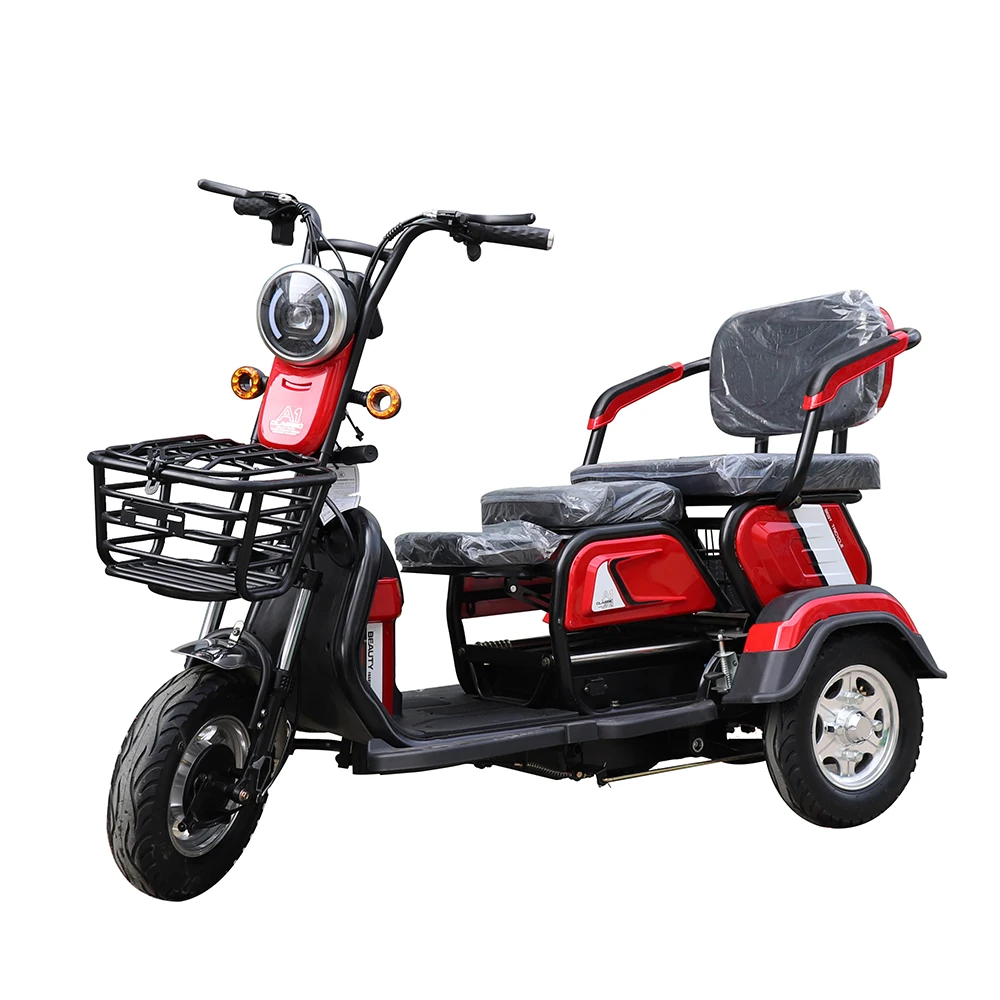 

Big Power Hot Selling Fengzhi Electric Leisure Tricycle Adult E Trike For Elderly 800W Motor