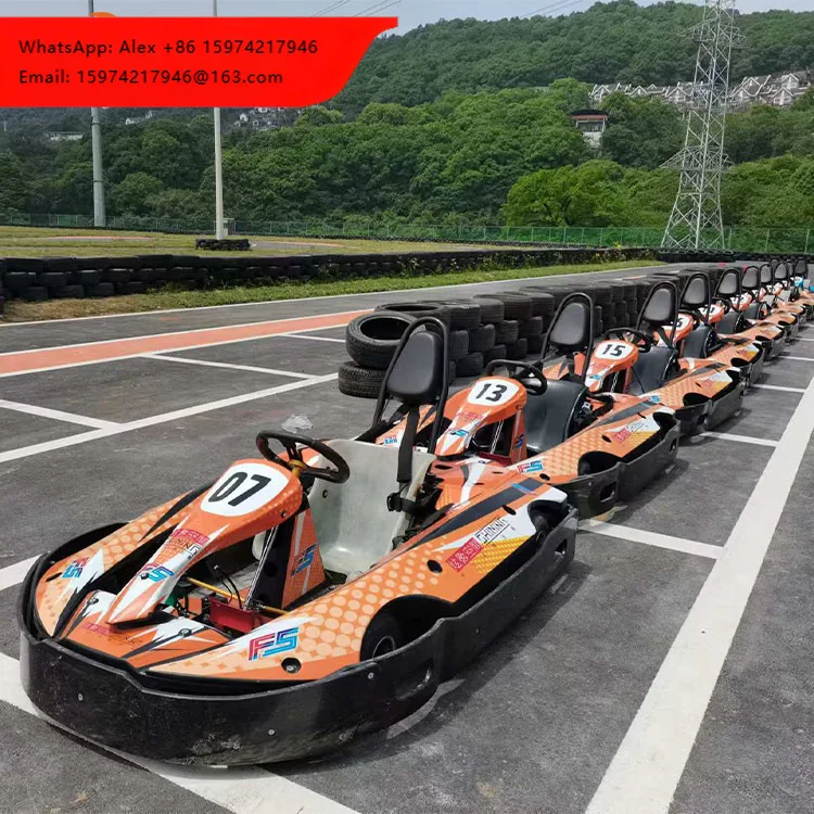 Go Kart de Carreras para Adultos, Kit Completo para Parque de Diversiones