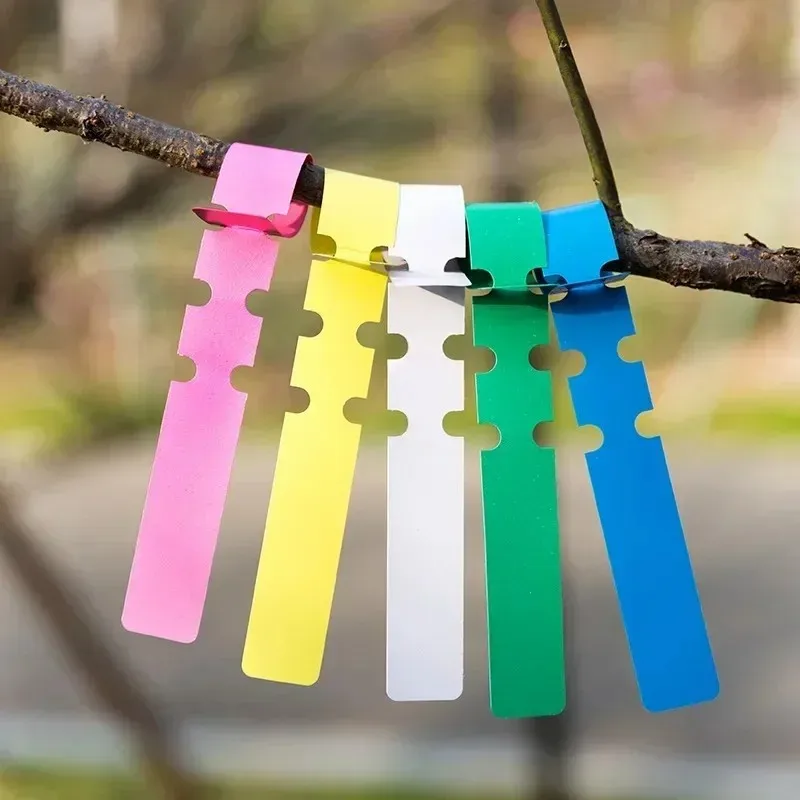 2026 New 100Pcs Reusable Durable Solid Color Gardening Plant Markers Hang Tag Label Prompt Card for Tree Ornament Garden Signage