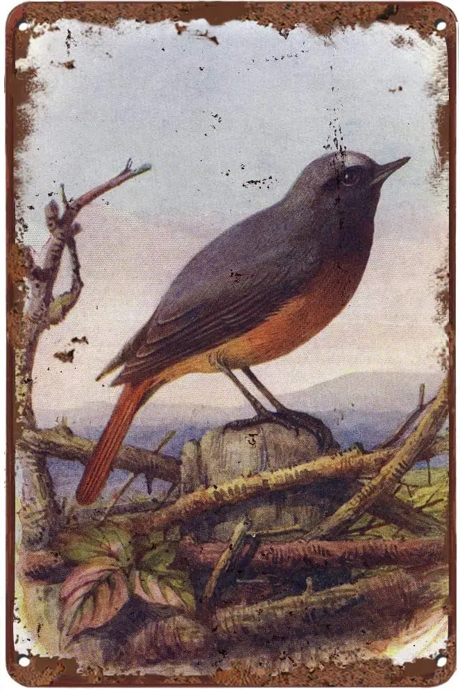 LINQWkk Vintage Blechschild mit Rotstern-Vogel, Wildtier-Metallschild, Retro-Wanddekoration für Zuhause, Cafés, Büro, Geschäfte, Kneipen, Clubs, Geschenk -alu