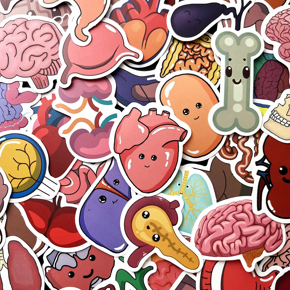 65Pcs Cartoon Body Organ Stickers, Waterproof Anatomy Decals for Kids, Water Bottles, Laptops, Luggage, Toys, Fun Learning Gift