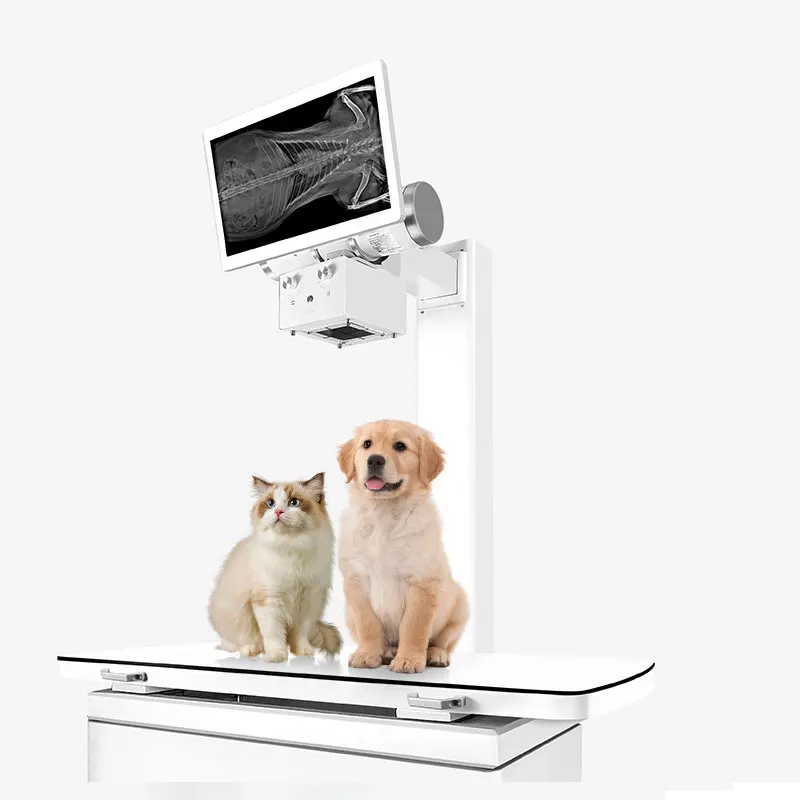 Digital Flat Panel X-Ray Products For Animal Pet Use Veterinary Instrument