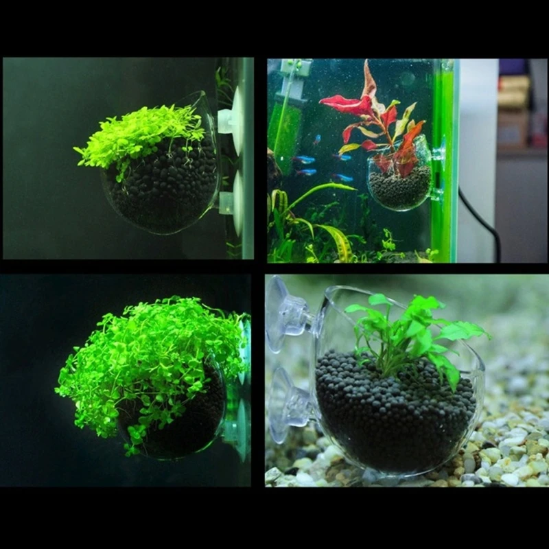 Plant Holders for Plant Arrangement Aquariums Landscape Beautiful Appearance Dropshipping