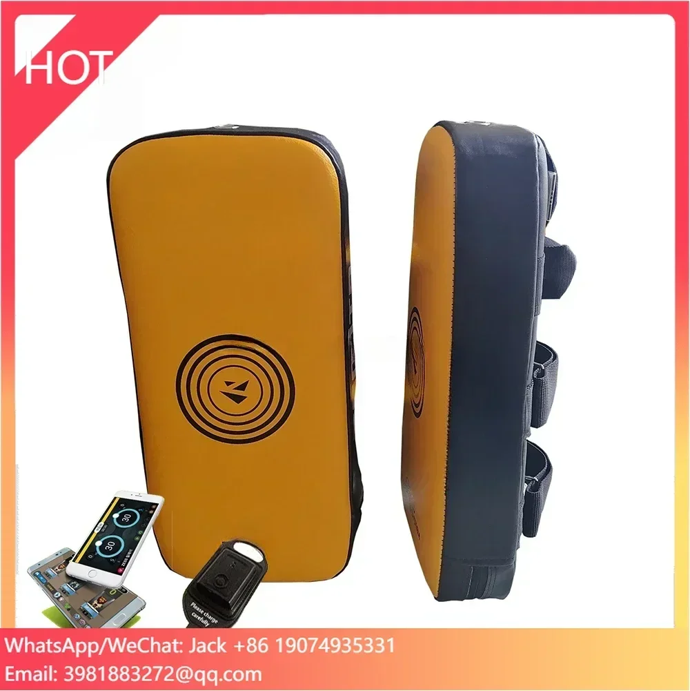 

Taekwondo Kick Pad Electronic Training ARM Mitt Equipment OEM Customize