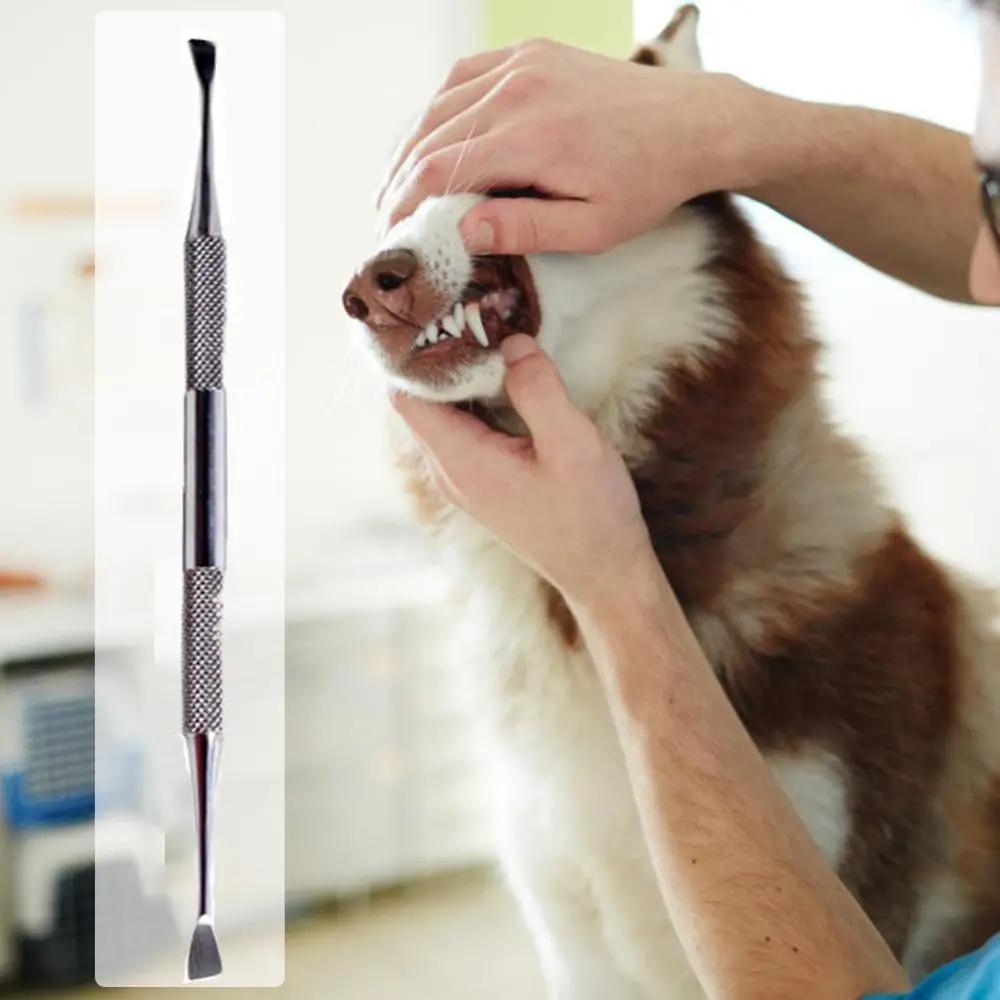 Stainless Steel Dog Teeth Cleaning Tool Anti-rust Double Head Dental Calculus Remover Non-slip Handle Pet Toothbrush