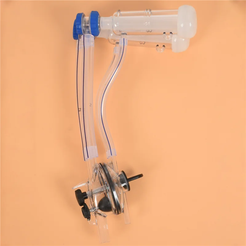 Abzs 3X Goat Sheep …