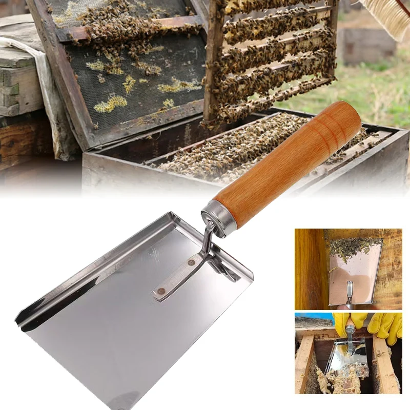 Pala de apicultura para limpieza de miel de abeja, raspador de acero inoxidable, herramientas limpiadoras, suministros de apicultor, mango de madera