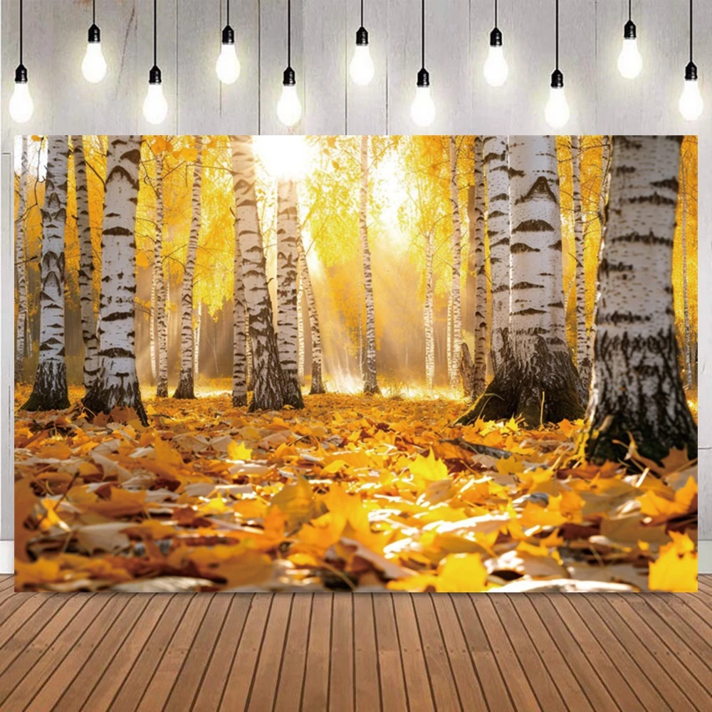 Photography Yellow - الخريف الغابات التصوير خلفية أوراق القيقب