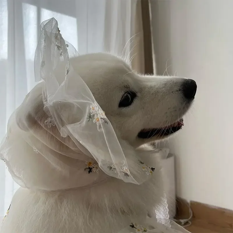 Pet Dog Medium Large Dogs Spring Summer Clothes Thin Wedding Suit Wedding Dress Satsuma Golden Hair Hat Large Dog Dress