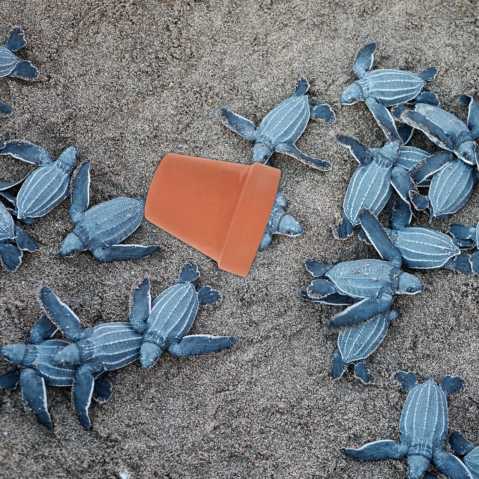 

Tortoise Climbing Platform Brown Multi Functional Turtle Basking Platform Reptile Hiding Cave Turtle Habitat Rest Stand