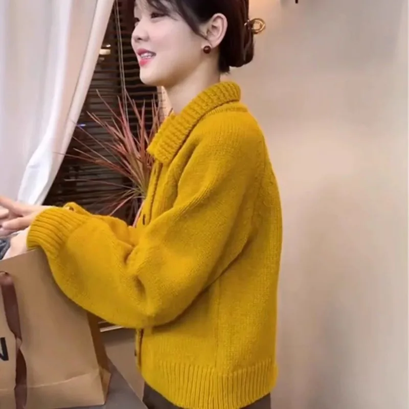 

Korean Style Versatile Sweater Lapel Short Fashion Sweater for Women Outer Wear Long-sleeved Chic Top