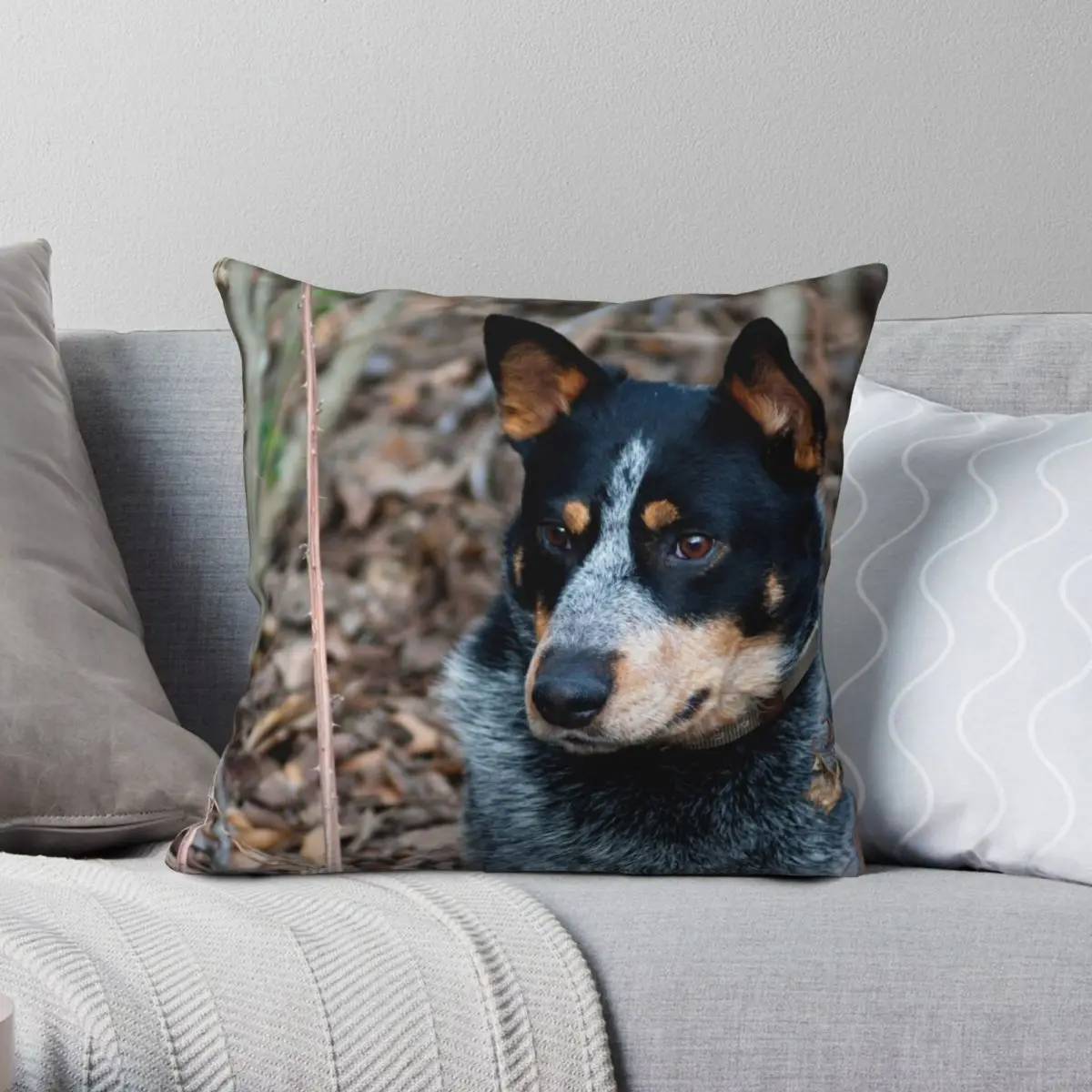 Blue Healer Friend Square Pillowcase Polyester Linen Velvet Creative Zip Decorative Throw Pillow Case Sofa Cushion Cover