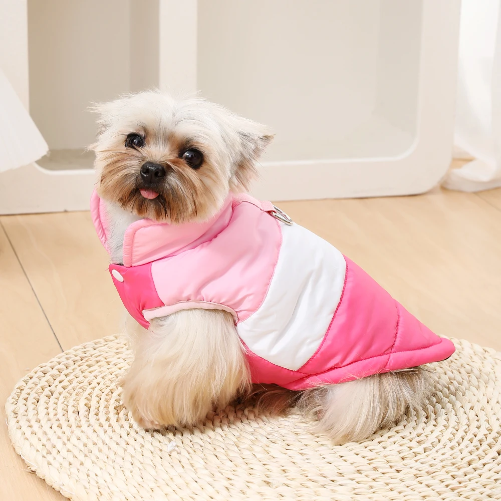 Thumbnail 3 - #11 Compare Pet Apparels Before You Buy