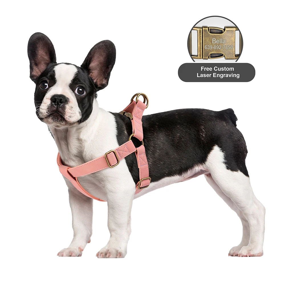7 Color Custom Dog Harness Personalized Dog Leather Harness Vest Free Engraved for Small Medium Large Dogs Pitbull Pug Walking
