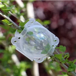 Plant High-Pressure Breeding Ball, Large Small Trees, Grafting Rooting Device, Agricultural Gardening, Planting Supplies, 1Pc