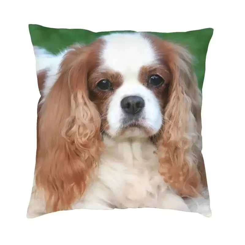 Cavalier King Charles Spaniel Luxury Pillow Cover, Double Sided Print Dog Cushion for Sofa Chair Home Decor