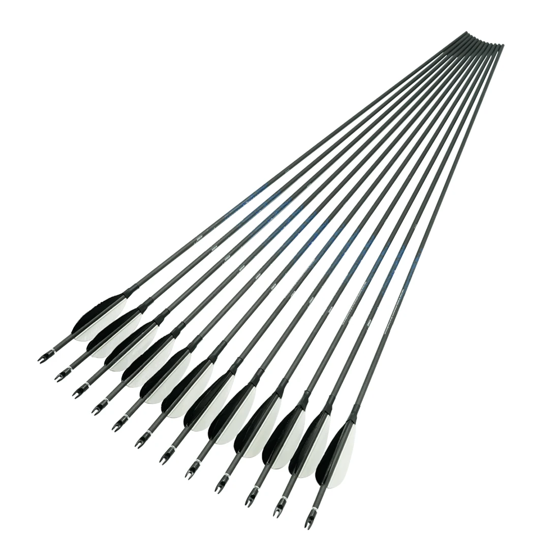 

Carbon Arrows for Recurve Bow Hunting Shooting, Pin Nock Tips, Turkey Feather, 30Inch, 3Inch, Spine400 -1000, 80GR, 12Pcs