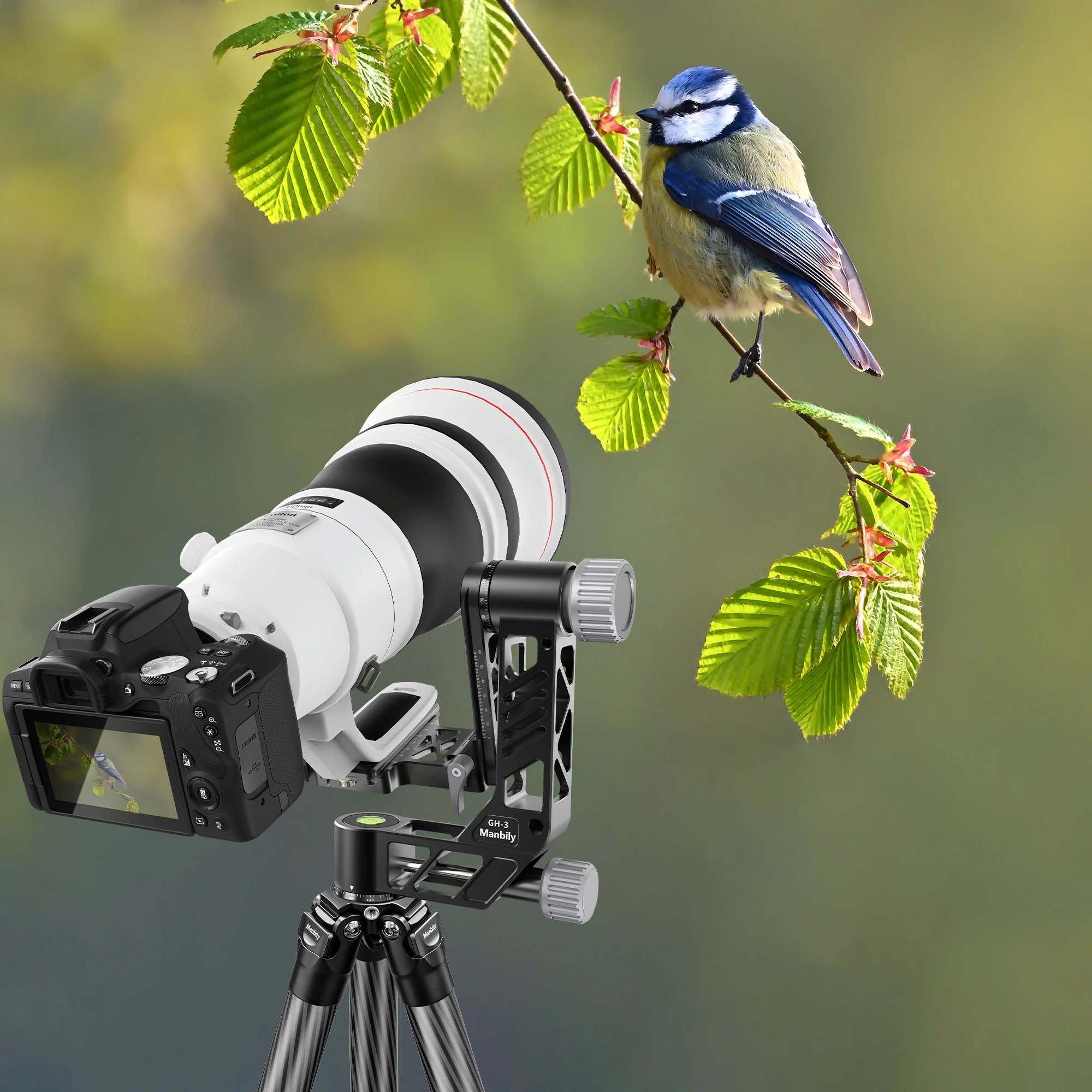 Treppiedi Professionali in Fib - Camera Tripod Carbon recensione e prezzo