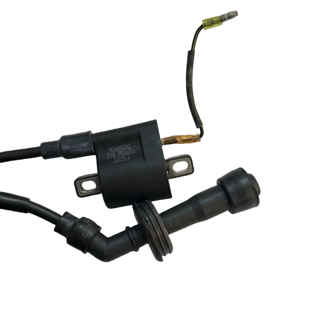 Picture 5: High Pressure Pump,Suitable for HS700ATV