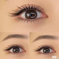 LB  LC Curl Camellia False Eyelashes Faux Mink Soft Easy Fan Individual Lashes Light Classic Russian Volume Premade Fan Lashes