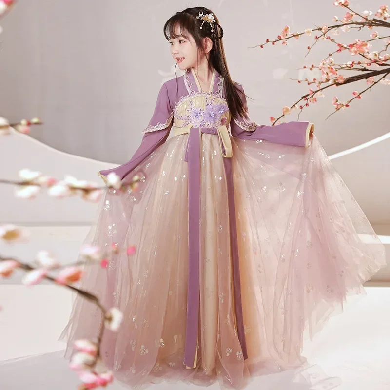 

Chinese Style Hanfu Purple Embroidery Sequins Beading Dress Tang Suit Girls Fairy Photography Cosplay Costume