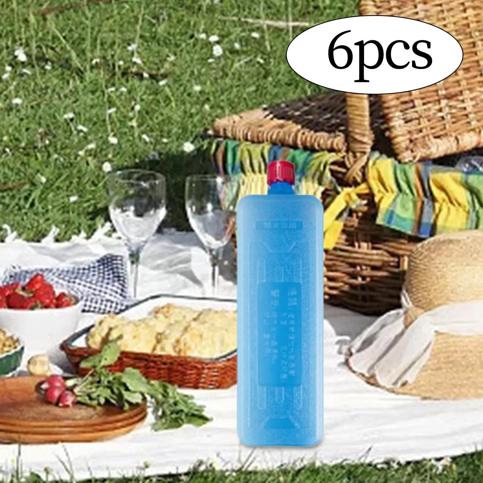 

6 Pieces Ice Brick Packs Portable Freezer Blocks for Fishing Picnics Camping