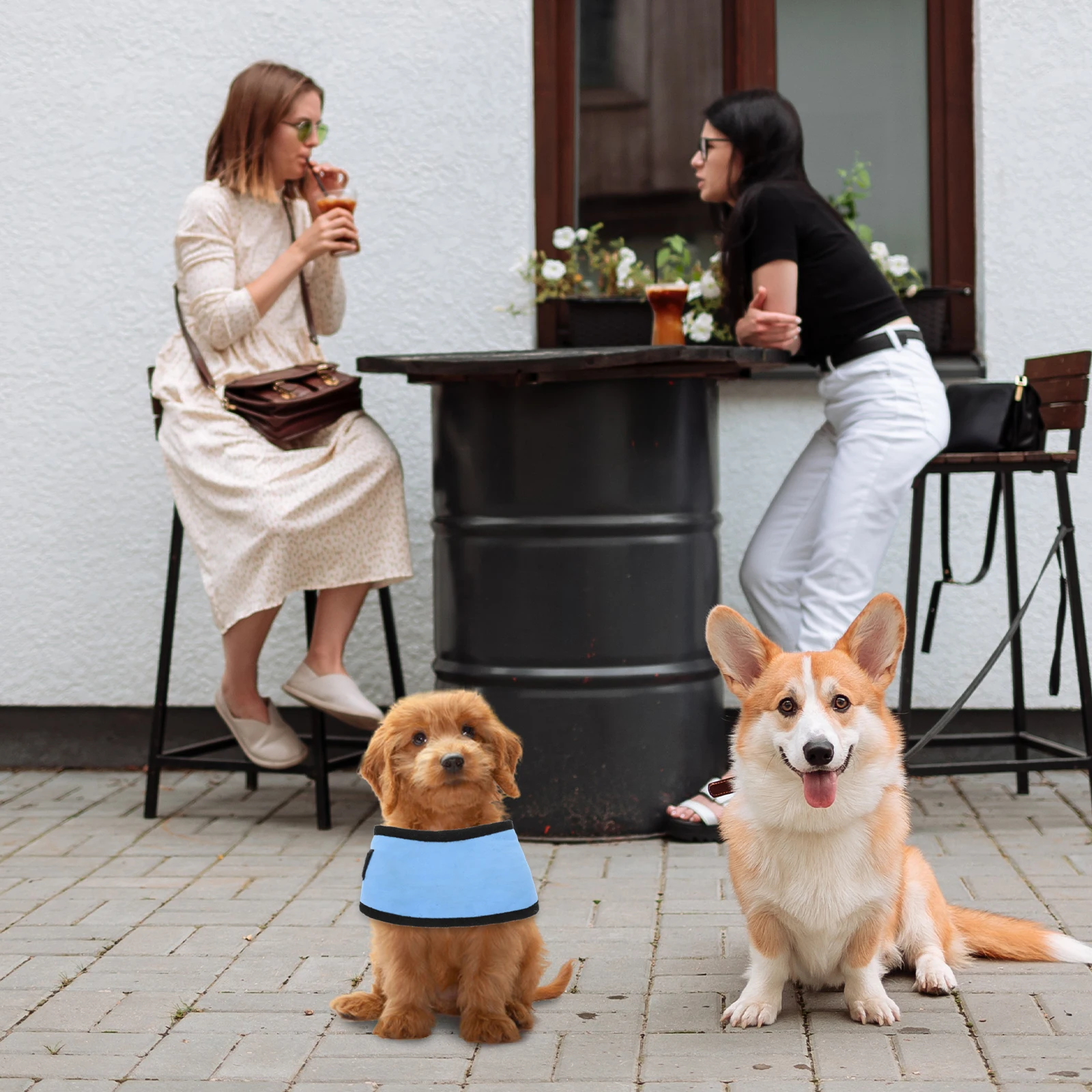 

Scarf Skin Friendly Puppy Collar Supple Collars Cool Fabric Adjust Temperature Absorb Heat Breathable Comfortable Wear Moisture