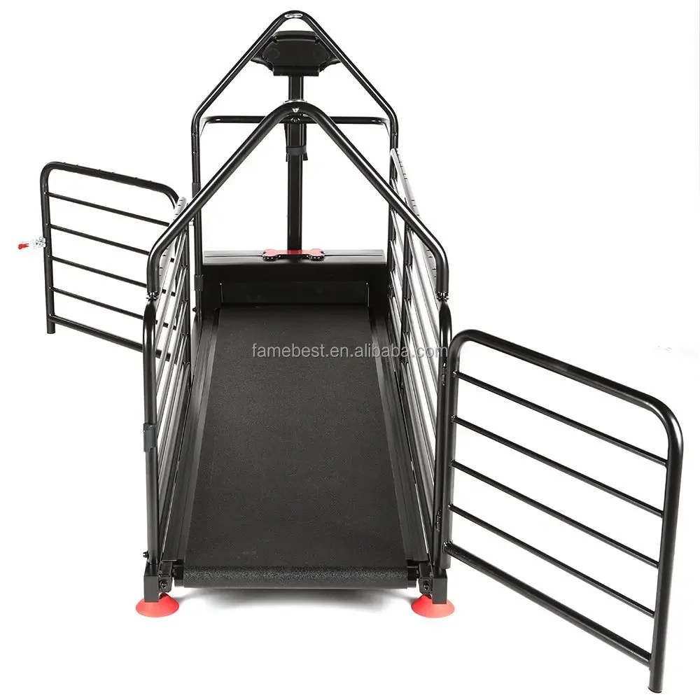 Indoor Pet Training Supplies Dog Running Training Machine with LCD Display Pet Treadmill Toy for Exercise