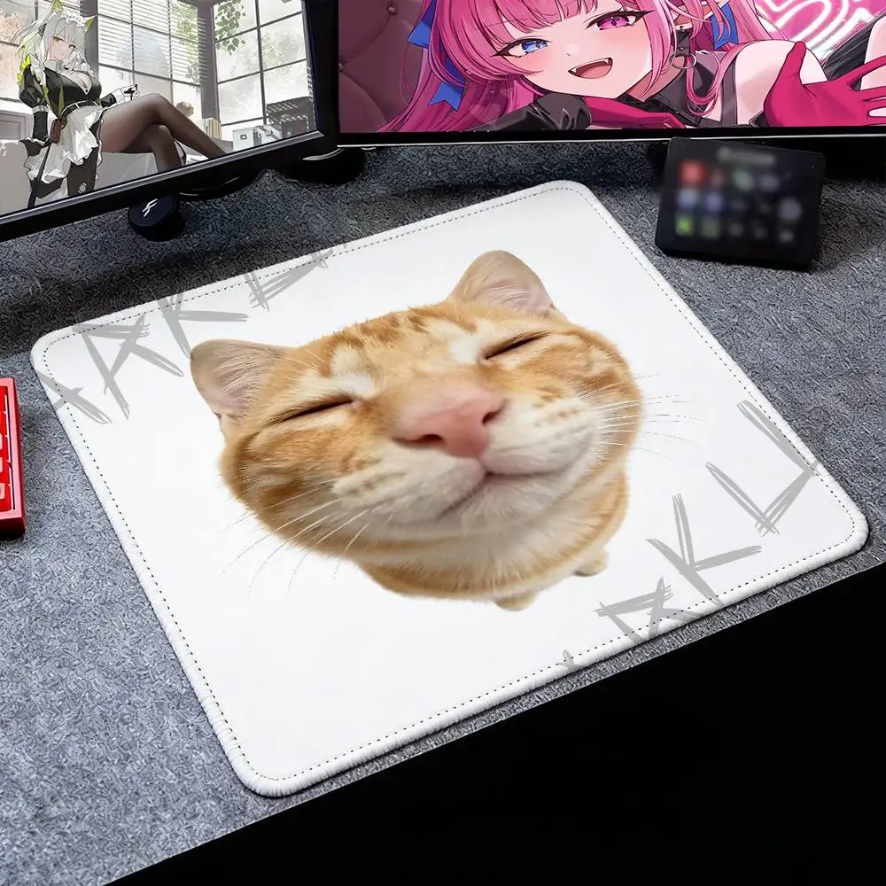 Cute Smiling Cat Small Mouse Pad, Funny Mousepad, Funny Relaxed Cat Portrait Office Laptop Desktop Decor