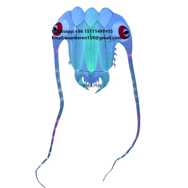 Nylon Soft 3D Trilobite Flying Kite LED Beach Performance by Giant Inflatable Kite