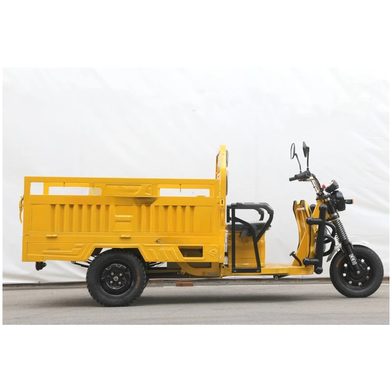 

3 Wheel Baby Truck Compact Minivan 60V45A 1000W Adult Household