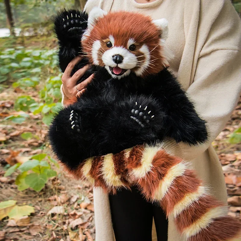 Simulazione nuvola panda rosso gioco creativo...