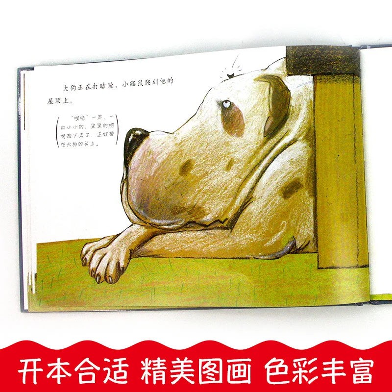 Who Poo on My Head? Children's Picture Books, Hard Shell Children's Picture Books for 3-6 Years Old, Science Comic Books