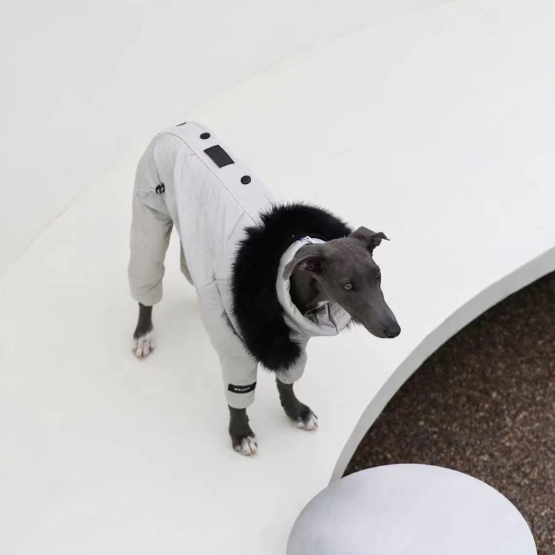 Winter 4-legged Cotton-padded Hooded Dog Clothing Warm Comfort Greyhound Coat Waterproof Small Medium Large Dogs Jacket