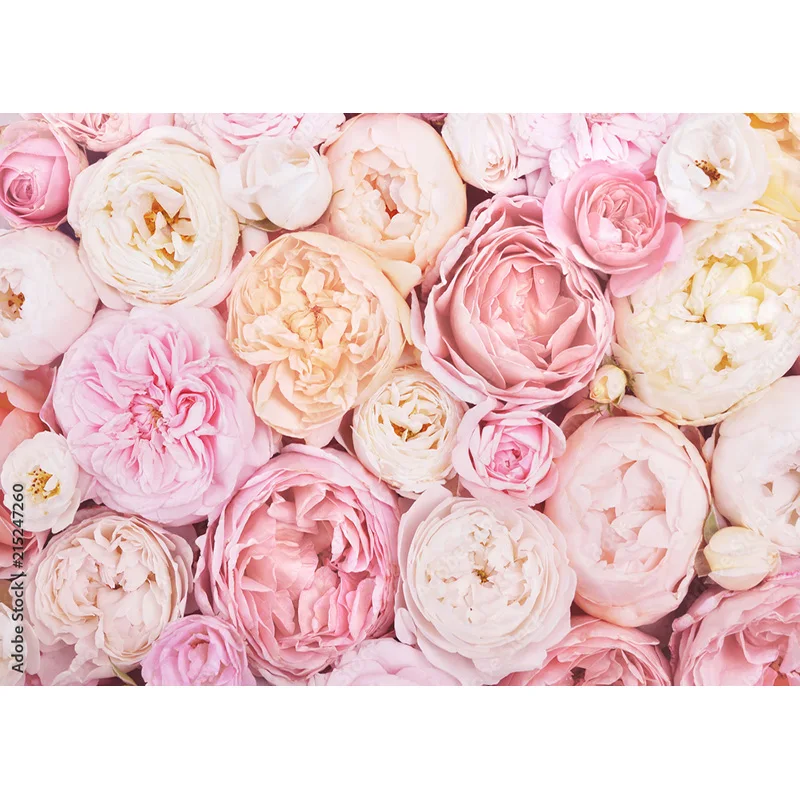 Vinyl benutzer definierte Valentinstag Fotografie Hintergründe Prop Liebe Herz Rose Wand Fotostudio Hintergrund 21126 QRJJ-03