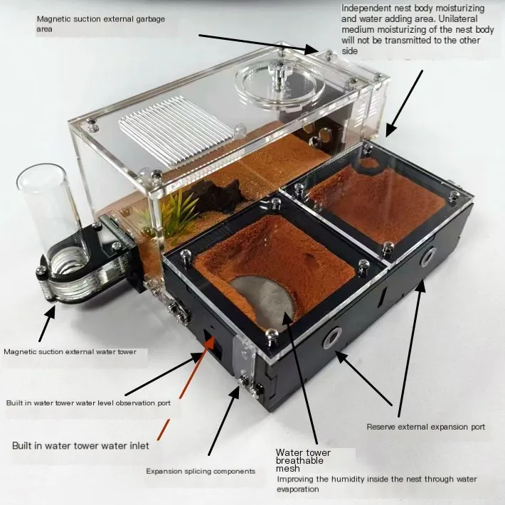 

Sickle Hunter Live Pet Ants Jump Sighted Queen Colonies может заменить