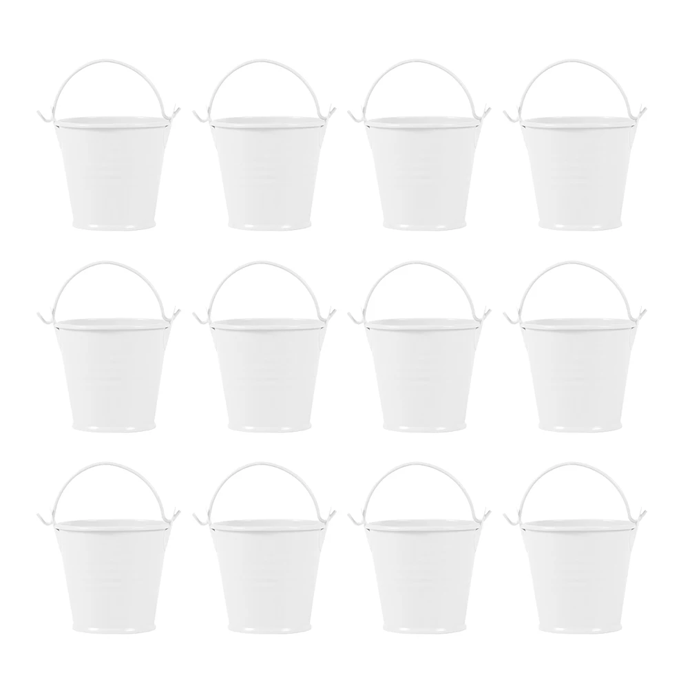 

12 Pcs Portable Iron Bucket Elegant Retro Planters for Outdoor Plants Mini Flowerpot Tin Bucket Garden Decor Photo Prop