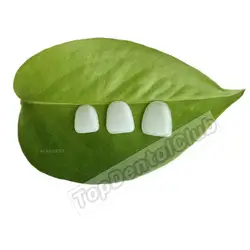 2Pcs Dental Composite Porcelain Veneer Whitening Teeth Veneers Bright White Template Guide