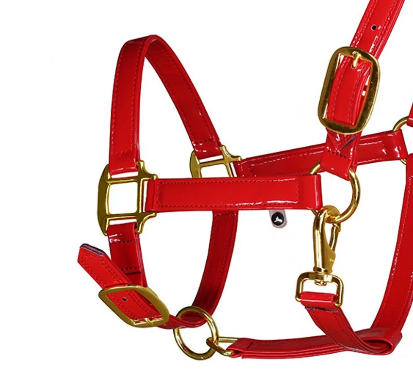 رسن حصان من الجلد الصناعي بإبزيم ذهبي #6