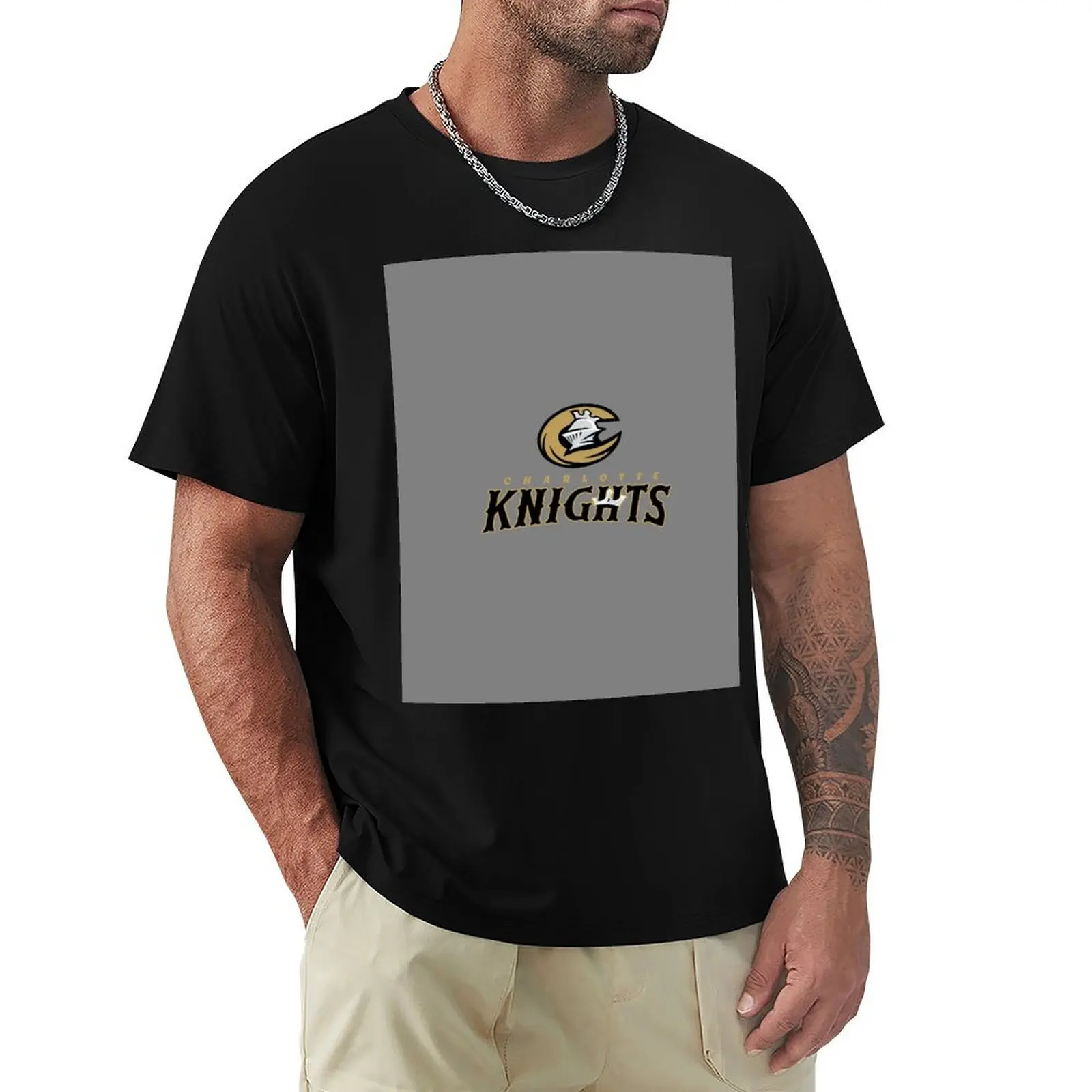 

Charlotte Knights icons T-Shirt cute tops sweat funny meme t-shirts funny t shirts for men