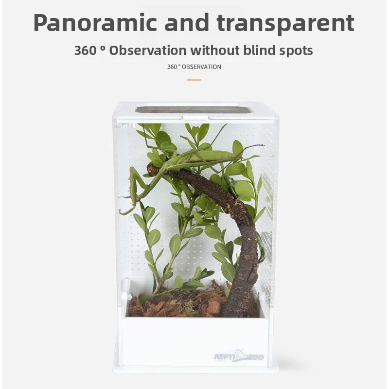 Reptizoo Acrylic Insect Observation&Rearing Box-Ventilated Enclosure for Crickets,Mantis,Katydids,Singing Insects&Small Critters