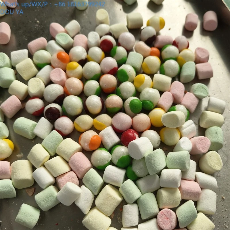 소형 상업용 동결건조기 진공 동결건조기 애완동물 사료 및 과일 및 채소용 동결건조기