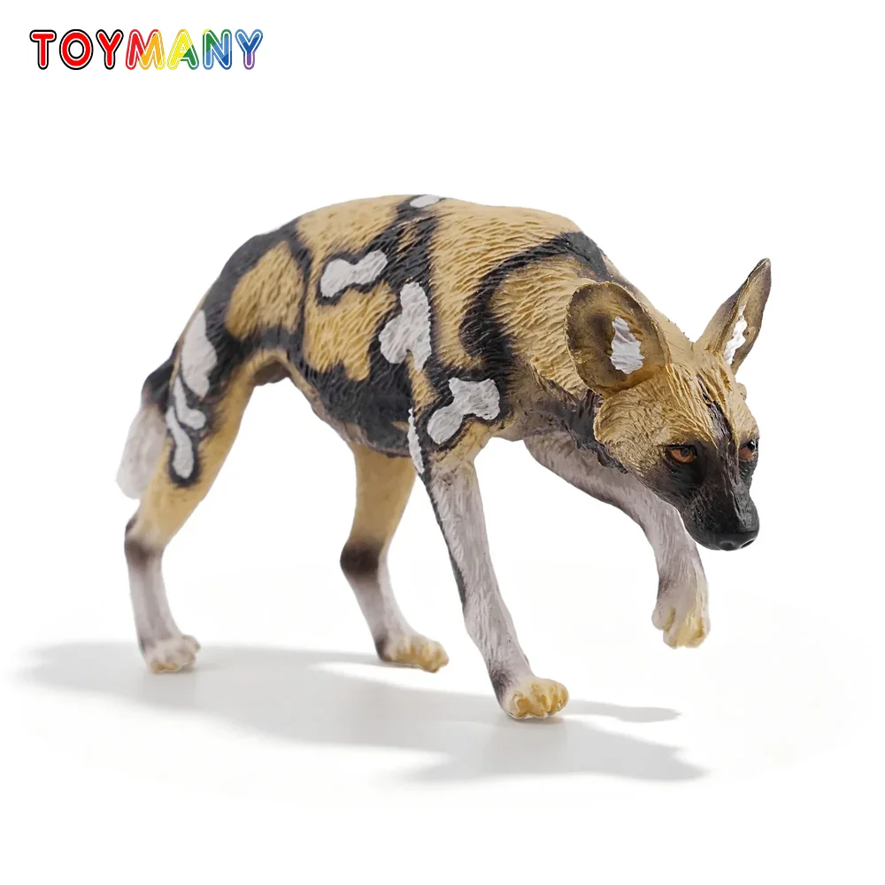 Toymany Simulation African Wild Dog Wildlife Animal Model Toy Mini Figures Dolls Action Figurines Toys Children Gift Cake Decora