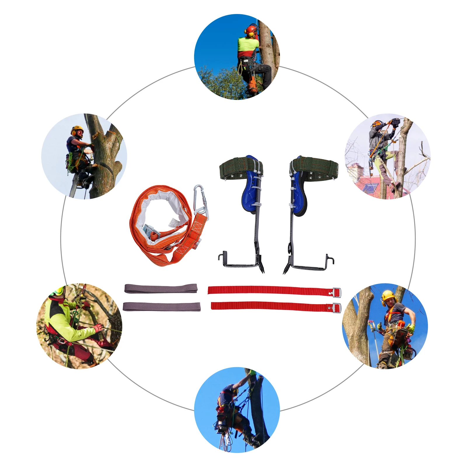 

Снаряжение для лазания по деревьям: 2-зубчатые шипы для лазания с страховочной привязью, профессиональные инструменты из высокоуглеродистой стали для охоты