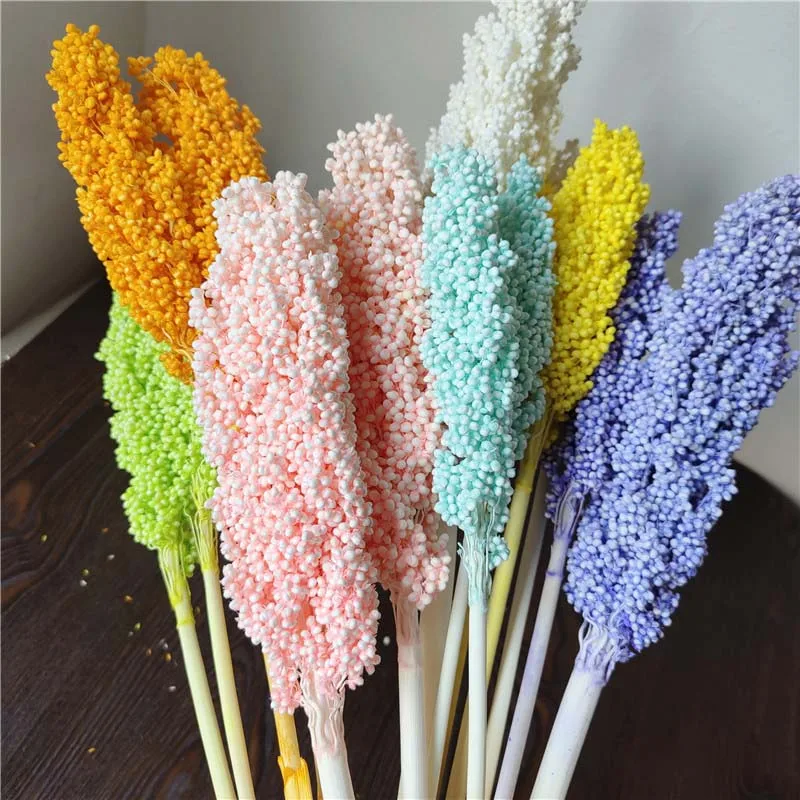 90~120g/Bundle,Real Natural Dried Grain Sorghum Flowers Bouquet,DIY Dry Eternelle Flower Home Decor