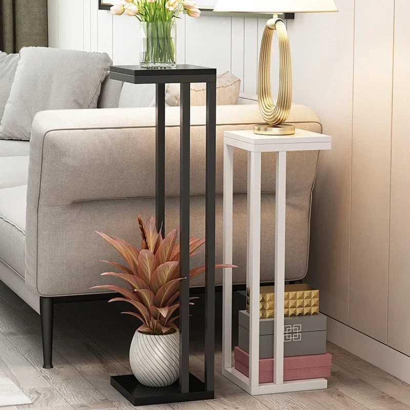 Simple Modern Plant Stand Iron Floor Stand for Flowers Double Layer Structure Flower Holder Thickened Steel Pipe Rack for Plant