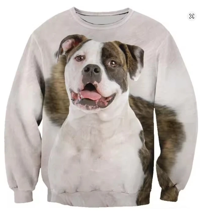 Cat Dog House 3D Print Hoodie Men Kids Oversized Long Sleeved Sweatshirt Sportswear Spring Autumn Fashion Round Neck Pullovers