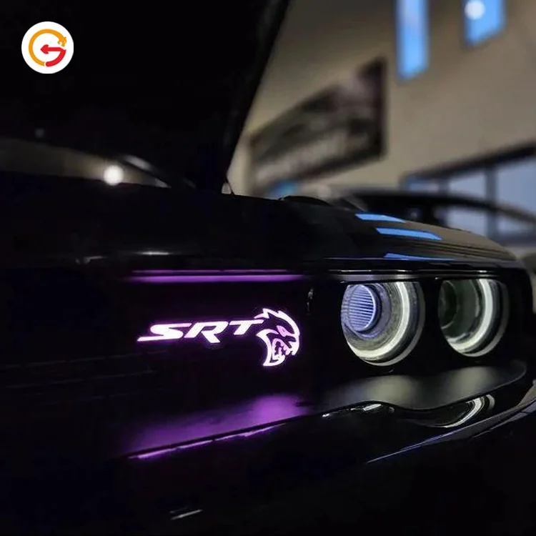 JAGUARSIGN Produsen Kustom LED Backlit Grill Huruf LED Grille Logo Emblem Individual LED Letter Badges