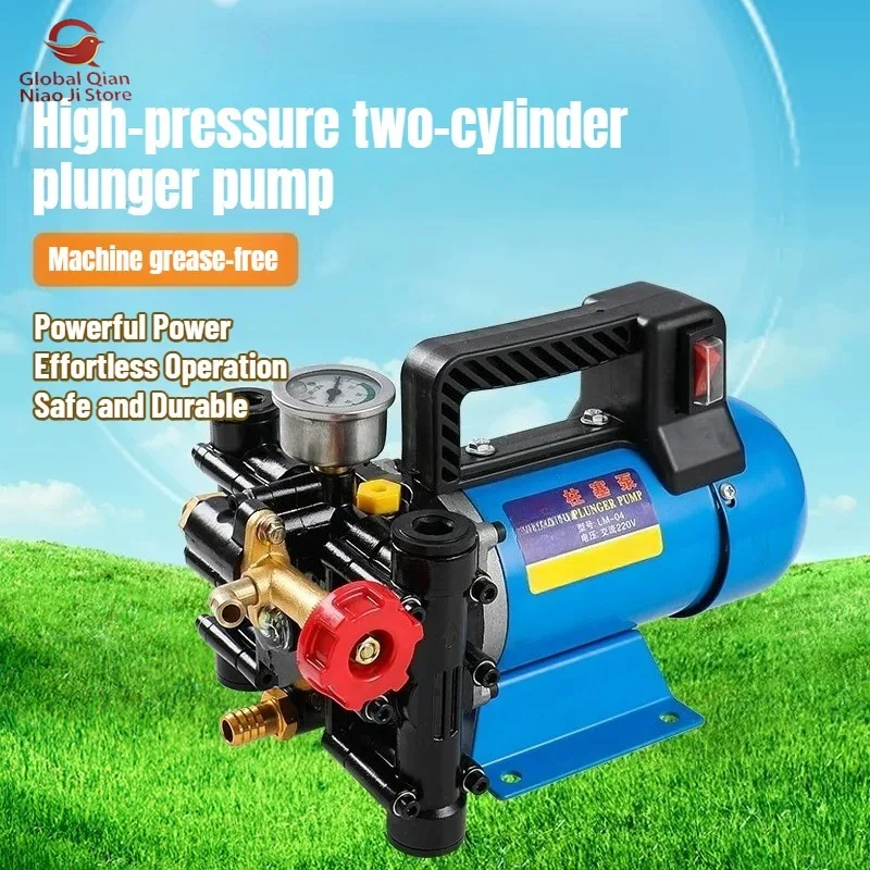 Electric Portable Sprayer for Agricultural Use Double-Cylinder Plunger Medicine Pump for Fruit Trees 12V/48V/60V/220V Options